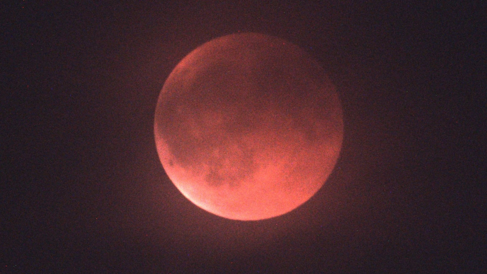 Roter Mond während einer totalen Mondfinsternis am Nachthimmel.