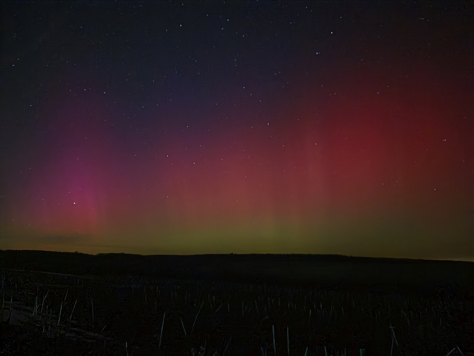 Polarlichter in Rot- und Violetttönen, die am Nachthimmel leuchten.